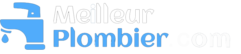 Meilleu Plombier Paris